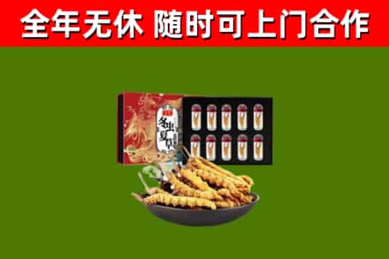 胶州市回收冬虫夏草价格