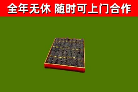 胶州市回收海参